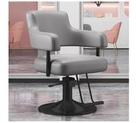 Heavy Duty Hydraulic Salon Chair, 360° Swivel Hairdressing Chair, Comfortable Spa Beauty Equipment for Professional Stylists