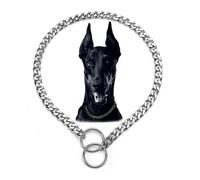 Heavy Duty Martingale Collar for Dogs,Dog Silver Chain Collars for Medium Dogs,Adjustable Training Metal Slip P Link Collar for Xs Small Medium Large Big Dog M