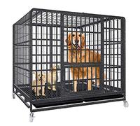 Heavy Duty Metal Dog Crate for Large and Small Dogs - Sky Lite Design Cage for Teddy, Golden Retriever, Cocker Spaniel - Anti-Escape & Spacious Pet Kennel