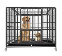 Heavy Duty Metal Dog Crate for Large and Small Dogs - Sky Lite Design Cage for Teddy, Golden Retriever, Cocker Spaniel - Anti-Escape & Spacious Pet Kennel