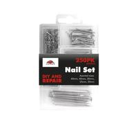 Heavy Duty Nail Assortment Set - 250 Pieces - 60mm, 40mm, 30mm, 25mm & 20mm | Multipurpose Nails for Woodworking, DIY, Picture Hanging, and Repairs | Organised Storage Box Included