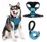 Heavy Duty No Pull Dog Harness for Large Dogs - Adjustable Anti-Pull Pet Vest with Reflective Padded Handle, Escape-Proof Design & Easy Control for Walking & Training-D-Ring Snap Hook,Blue, XL