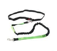 Heavy Duty Nylon Dog Leash with Adjustable Length and Multi purpose Design (Green)
