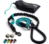 Heavy Duty Rope Bungee Lead for Large and Medium Dogs with Anti-pull for Shock Absorption - No Slip Reflective Leash for Outside (Teal, For 1 Dog)