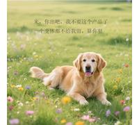 Heavy Duty Steel Garden Arch 180 220 260 340 300 140 cm, Outdoor Arbor Trellis for Climbing Plants Vines and Roses, Sturdy Wedding Archway Arbour Stand for Ceremony Decoration(Black,WxH 260x270cm)