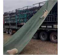 Heavy Duty Tear-Resistant Tarpaulin Chute Slide Conveyor Belt for Cargo Loading & Unloading - Ideal for Warehouses and Tall Buildings