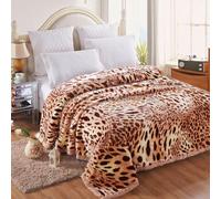 Heavy Fleece Blanket,Super Cozy Fluffy Soft Warm Throws,2 Ply Reversible Raschel Flannel Throw Blanket King Size,for Home,Office,Bed, Sofa, Chair, Car,V,180×220cm 3kg