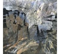 Baula - Heavy Heart, No Tears [VINYL]