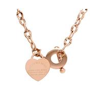 Heavy solid link chain proverbs 4:23 heart rose gold steel necklace with black gift box and jewelry bag (50)