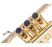 HEAVY Trumpet custom finger buttons for all Yamha (All YTR), Stomvi, Shagerl, Carol Brass and Fides Trumpets, Yamaha flugelhorn 631/731, Yamaha cornet models (24K Gold Plated, Nuummite)