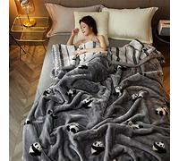Heavy Winter Fleece Plush Blanket King Size,Korean Mink Blanket,Silky Soft And Warm, 2 Ply Reversible Raschel Bed Blanket,71"X87",Gray,180x220cm3kg
