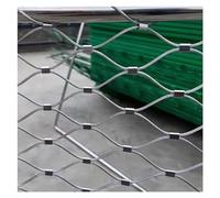 HeavyDuty Metal Mesh Grille 6cm/2mm Zoo Cage Fence Safety Netting for High Altitude Guardrails Durable Fall Protection Net (0.6x9m)