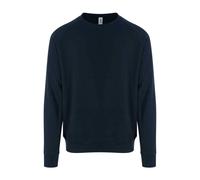 Heavyweight Cotton Blend Sweatshirt AWDis Graduate Long Sleeve Jumper
