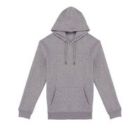 Heavyweight Hoodie Native Spirit Light Grey 4XL