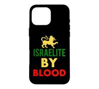 Hebrew Israelite by Blood Lion Judah Torah Tanakh Case for iPhone 16 Pro Max