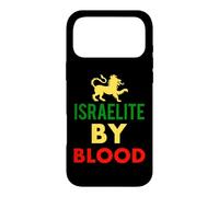 Hebrew Israelite by Blood Lion Judah Torah Tanakh Case for iPhone 17 Pro Max