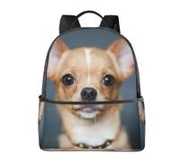 HEBSDFG cute chihuahua Prints Lightweight School Backpack, Cute School Bag Laptop Rucksack Backpack Stylish Casual Daypacks Travel Backpack
