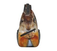 HEBSDFG Funny Squirrel Pattern Sling Backpack Funny Messenger Chest Bag Zipper Sling Bag for School, Travel & Work
