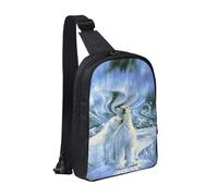 HEBSDFG Polar Bears Northern Lights Pattern Crossbody Shoulder Sling Pack Water-Resistant Messenger Chest Bag Zipper Sling Bag for School, Travel & Work