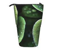 HEBSDFG Sitting Green Three Leaf Insect Prints Retractable Pencil Case & Cosmetic Pouch, Big Stationery Bag Pen Box for School Office Travel