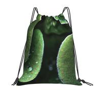 HEBSDFG Sitting green three leaf insect Womens Drawstring Gym Bags Mens Sports Backpack Lightweight Beach Tote Reusable Shopping Bag