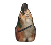 HEBSDFG Squirrel Funny Animal-r18325 Pattern Sling Backpack Funny Messenger Chest Bag Zipper Sling Bag for School, Travel & Work
