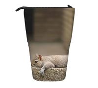 HEBSDFG Squirrel Just Laying Prints Retractable Pencil Case & Cosmetic Pouch, Big Stationery Bag Pen Box for School Office Travel