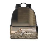 HEBSDFG Squirrel Just Laying Prints School Bag Bookbag Laptop Backpack Stylish Lightweight Backpack Travel Backpack for Kids Students Boys Girls