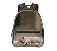 HEBSDFG Squirrel Just Laying Prints School Bag Bookbag Lightweight Laptop Backpack Casual Daypack Travel Backpack for Students Boys Girls