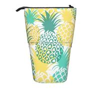HEBSDFG Tropical Pineapple Prints Retractable Pencil Case & Cosmetic Pouch, Big Stationery Bag Pen Box for School Office Travel