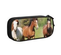 HEBSDFG Various Kinds of Horses Print Cute Pencil Case Pouch for Boys Girls - Black High Capacity Travel Pen Bag Organizer Makeup Bag for Student School College Office