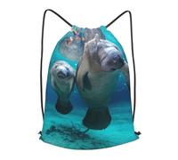 HEBSDFG West Indian Manatees Prints Drawstring Backpack for Women Men Adjustable String Bag Sackpack for Sport Gym Bags Shopping Beach, S
