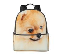HEBSDFG Yellow pomeranian Prints School Bag Bookbag Laptop Backpack Stylish Lightweight Backpack Travel Backpack for Kids Students Boys Girls