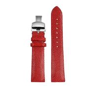 HECHENBAO 20mm 22mm Watch Band Resistant Watchband Strap Black Blue Red Suitable For Daily Wear(Red-silver B,22mm)