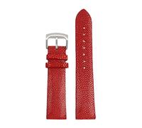 HECHENBAO 20mm 22mm Watch Band Resistant Watchband Strap Black Blue Red Suitable For Daily Wear(Red-silver A,20mm)
