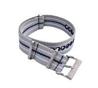 HECHENBAO Glow In The Dark Nylon Watch Strap 20mm 22mm Replacement Band For All Brand Watches Suitable For Daily Wear(Gray Blue-White,22mm)