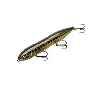 Heddon Super Spook Topwater Fishing Lure for Saltwater and Freshwater, Florida Bass, (7/8 oz)