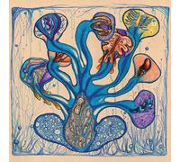 Hedfi, Houeida - Fleuves De L'âme