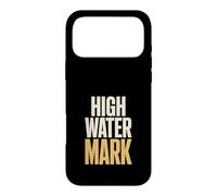 Hedge Fund Analyst Hedge Fund Investment Analyst Risk Manage Case for iPhone 17 Pro Max