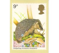 Hedgehog 1977 Royal Mail Stamp Postcard