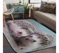 Hedgehog Area Rug for Bedroom Living Room 4 x 6 Feet Soft Fluffy Indoor Floor Carpet Non-Slip Washable Modern Rugs for Dorm Nursery Kids Room Home Decor