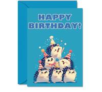 Hedgehog Birthday Cards for Her Him - Party Animals Pyramid - Happy Birthday Card for Mum Dad Brother Sister Auntie Uncle Cousin Friend Family Colleague A5 Bday Greeting Cards