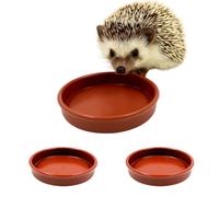 Hedgehog Bowl for Food and Water (Pack of 3) Hedge Hog Feeding Bowls Outdoor Wildlife Garden Dishes 13cm Wide, Low-Profile 2cm Deep Design
