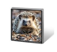 Hedgehog Button Pin Funny Cute Brooch Pins Personalized Square Lapel Pin Badges Alloy Pinback Button Badge Novelty Backpack Pins for Jackets Hat Bags Chrismas Birthday Gift