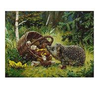 Hedgehog Cross Stitch Kit, Easy Pre Printed Stamped Counted Cross Stitch Kit for Adult Beginners Kids Uk, Cute Animal Embroidery Starter Advanced Easy Crossstitch Patterns Set Needlepoint 14x14 IN