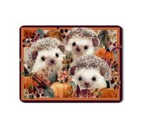 Hedgehog Dish Drying Mats For Kitchen Counter, Autumn Floral Absorbent Rubber Dish Drainer Rack Mat, Cute Pumpkin PU Leather Drying Pad For Kitchen Counter Decor 18x24 Inch