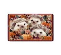 Hedgehog Dish Drying Mats For Kitchen Counter, Autumn Floral Absorbent Rubber Dish Drainer Rack Mat, Cute Pumpkin PU Leather Drying Pad For Kitchen Counter Decor 12x20 Inch