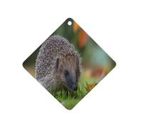 Hedgehog Exploring The Grass Car Air Freshener Aromatherapy Tablets Hanging Scented Cards for Rooms Bathrooms Wardrobe Rhombus