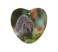 Hedgehog Exploring The Grass Car Air Freshener Aromatherapy Tablets Hanging Scented Cards for Rooms Bathrooms Wardrobe Love form