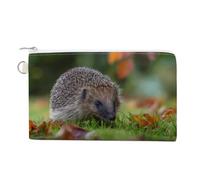 Hedgehog Exploring The Grass Coin Purse Small Wallets with Zippered Key Ring Cute Wallet
